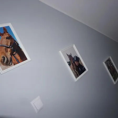 Osada Cztery Pory Roku -dom Lato Dom wakacyjny *