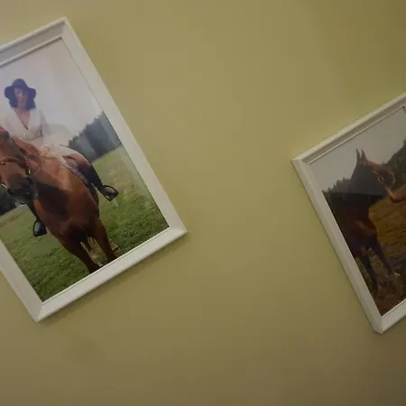 Osada Cztery Pory Roku -dom Lato *