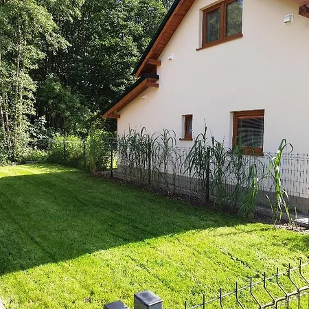 Osada Cztery Pory Roku -dom Lato Dom wakacyjny Kopalino