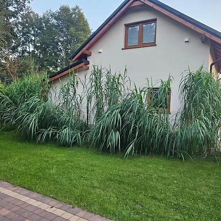 Osada Cztery Pory Roku -dom Lato Kopalino