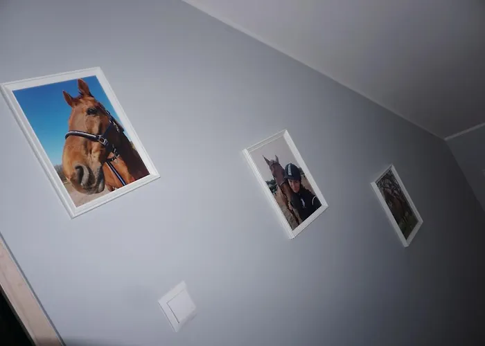 Osada Cztery Pory Roku -dom Lato Сasa de vacaciones *