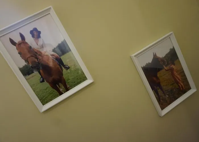 Osada Cztery Pory Roku -dom Lato *