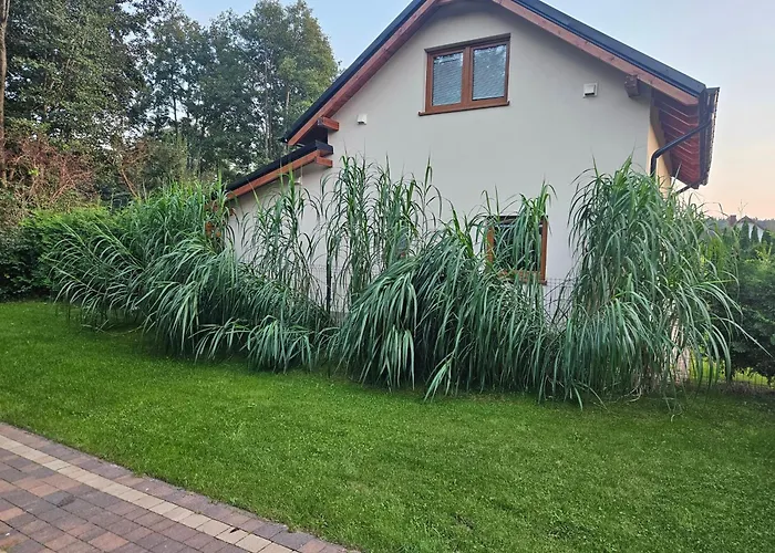 Osada Cztery Pory Roku -dom Lato Kopalino